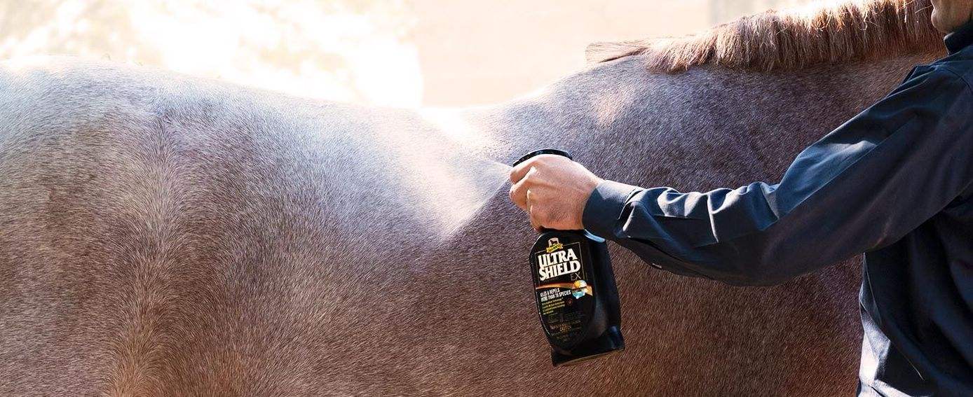 Spraying UltraShield fly spray on a horse