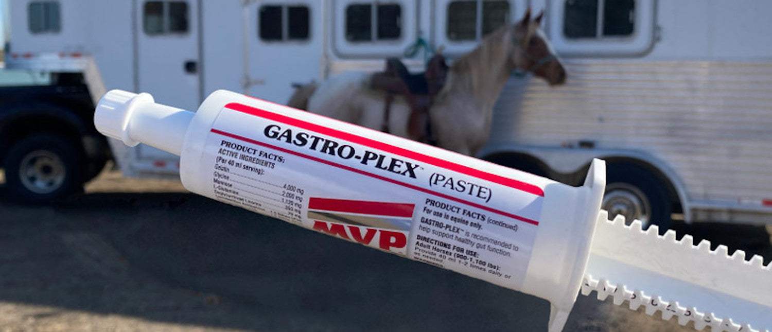 Equine Recovery Pastes