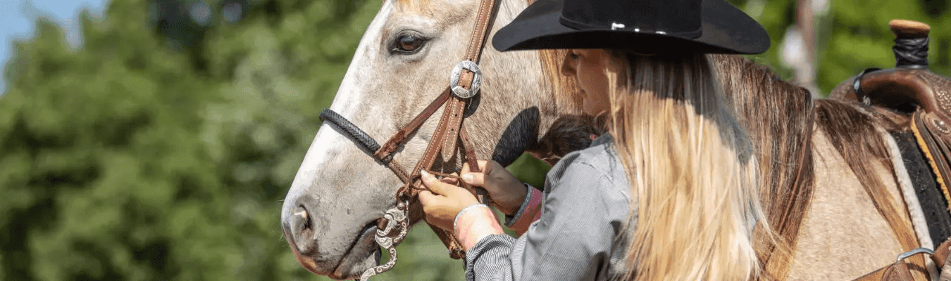 Types of Bits: The Essential Buying Guide for Western Horse Bits