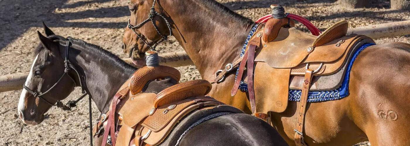 Ultimate Saddle Fitting Guide: How To Size a Western Saddle for Your Horse