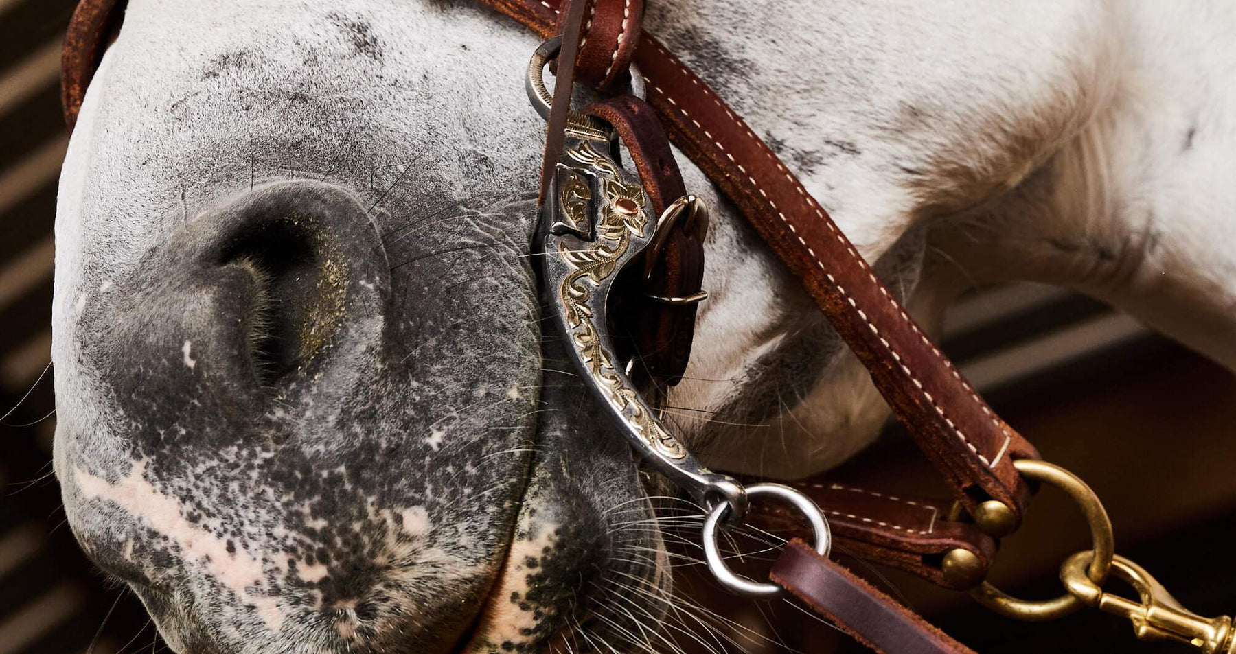 The History and Transformation of the Horse Bit