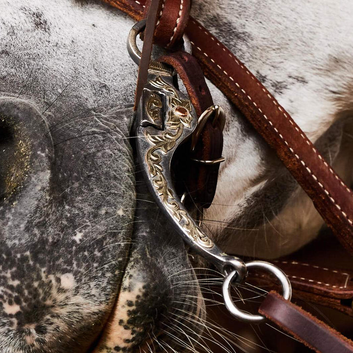 The History and Transformation of the Horse Bit