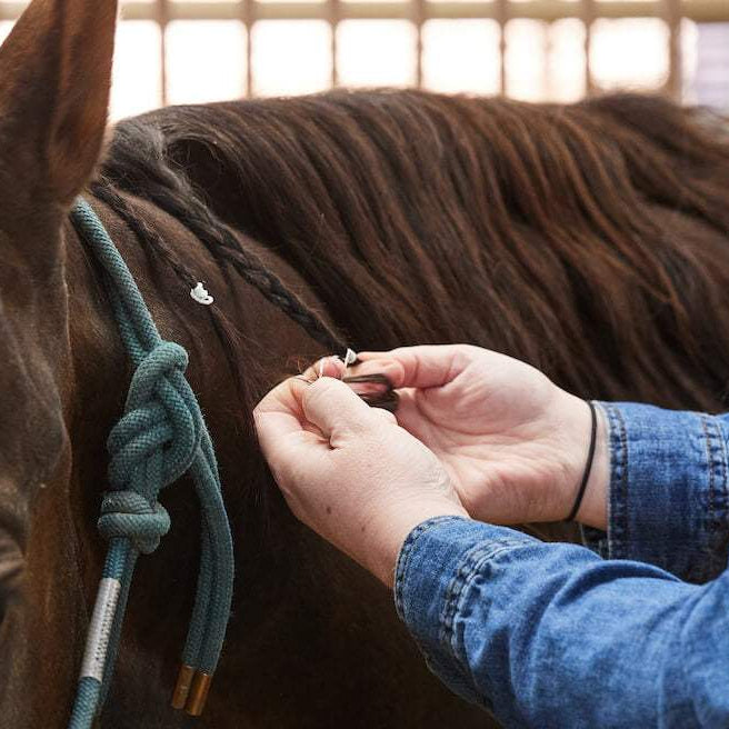 Guide to Braiding & Plaiting Your Horse's Mane & Tail