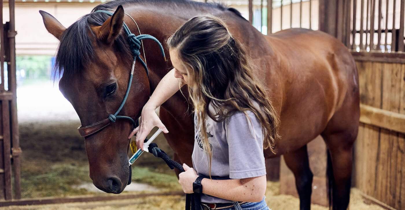 Deworming Your Horse : FAQs