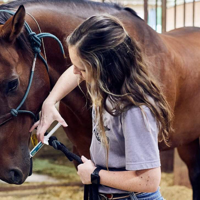 Deworming Your Horse : FAQs