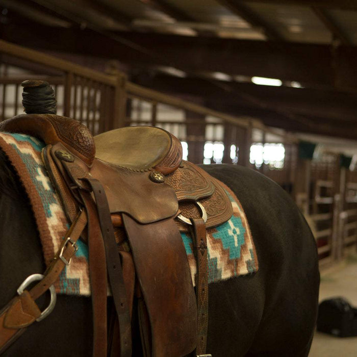 Saddle Care Secrets: Keep Your Saddle Like New!