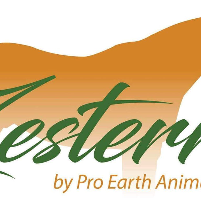 Exploring the Benefits of Zesterra